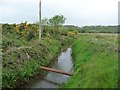 SH5337 : Drain at the western end of Morfa Bychan by Christine Johnstone