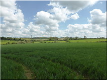 SK9223 : Fields in the Witham Valley by Bob Harvey