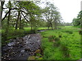 River Churnet looking upstream near Tittesworth Reservoir