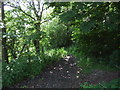 Path into woodland, St Margaret