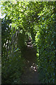 Footpath to Noctorum Lane