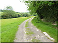 Farm track on southeastern corner of Withy Wood