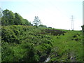 Grazing and pylon, South Bellyeoman