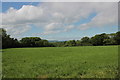 Fields at Kingstonwell