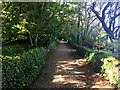 The South West Coast Path at Durlston