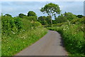 Lane near North Cheriton