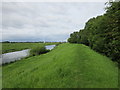 The River Derwent and flood bank