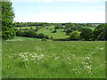 East from Bauks Hill