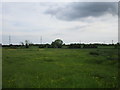 Meadows at Barmby on the Marsh