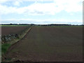 Crop field and stone wall near Howlet