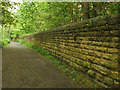 Stone wall along Woodhouse Ridge