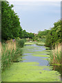 The Grantham Canal at Gamston