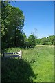 Hawkenbury Meadow Nature Reserve