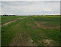 Fields near Cambourne