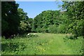 Path Through Hawkenbury Meadow