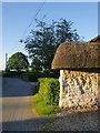 SU2131 : Clunch-built wall with thatched 'roof ' at Pitton (2) by Stefan Czapski