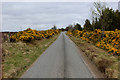 Looking North East up the Lewiston/Grotaig Minor Road