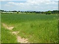 Farmland on the Herefordshire Worcestershire border