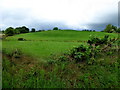 A green hill, Mullaghslin Glebe