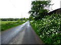 Slievebane Road, Mullaghslin Glebe