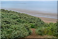 Path through the dunes