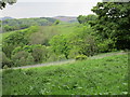 View over Hope Valley Vineyard