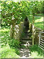 SD9928 : Footpath steps near Lower Lee, Heptonstall by Humphrey Bolton