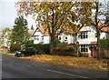 Houses in Canterbury Road