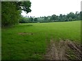 Field below Lower Barn