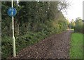 Cycle path behind Corfe Way