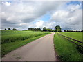 Mature Rape Fields Near Grove Business Park Atherstone on Stour