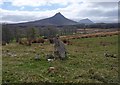 Standing stone, Braemore, Caithness