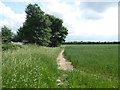 Field to the south of Eastern Avenue West