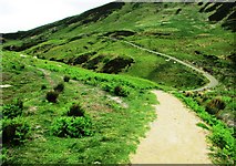 NO1806 : Old path and new path near Edge Head, Lomond Hills by Bill Kasman
