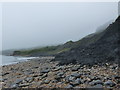 SY3593 : Charmouth beach and fossil bearing clay at Black Ven by Rob Purvis