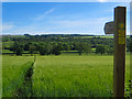 Footpath near Meltonby