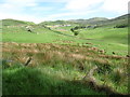 View across the upper reaches of the valley towards Slieve Croob