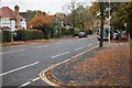 Autumn scene - Alexandra Road