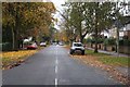 Autumn view - Canterbury Road