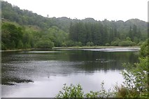 NY3200 : Yew Tree Tarn by Russel Wills