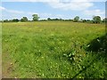 Field at Kimbolton