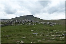 SD8272 : Brackenbottom Scar and Pen-y-ghent by DS Pugh