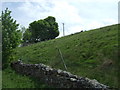 Grazing beside the B6255, Tarney Force