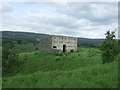 Stone barn in pasture, Wensleydale