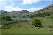 NY3103 : Towards Little Langdale Tarn by DS Pugh