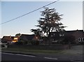 Houses on Cromer Road, New Hainford