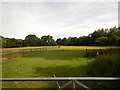 Field near Winkfield Row