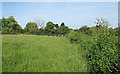 Public footpath on field edge, Canewdon