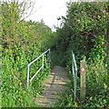 Footbridge over ditch, Canewdon