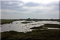 Low tide over the salt marsh